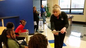 The kids are excited, and terrified, of the baby American Alligator
