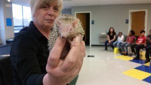 A Wildlife Defender holding a hedgehog