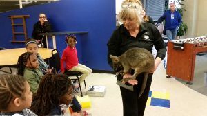 The kids and parents are excited to see a wallaby up close