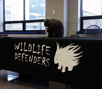 Wildlife Defenders